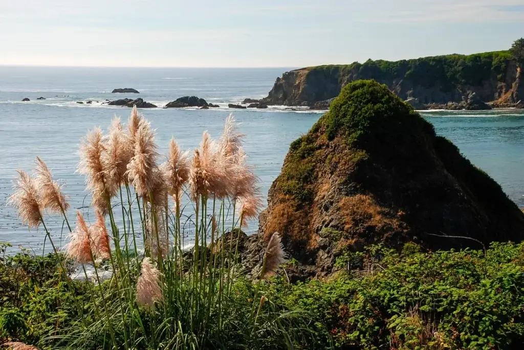 Coastline at Chetco Point Park in Brookings, Oregon