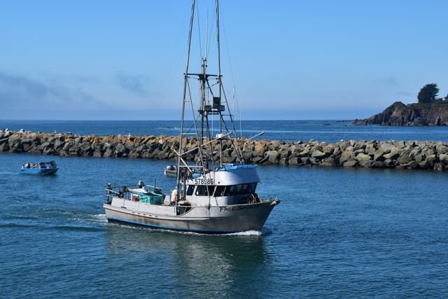 Brookings, Oregon coastal landscape on the Southern Oregon Coast