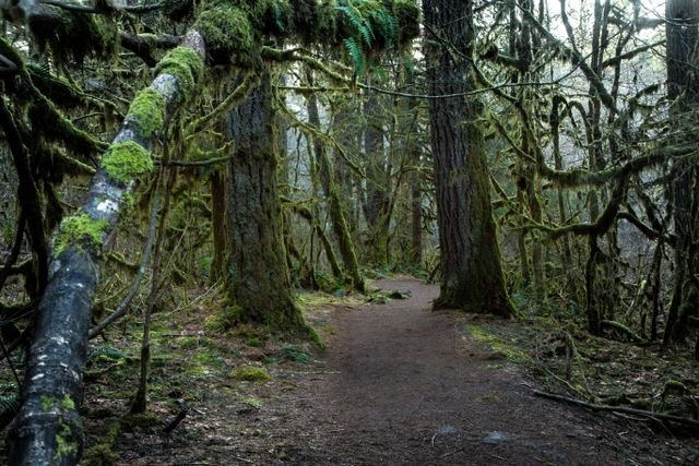 Garibaldi, Oregon harbor and Tillamook Bay coastal scenery