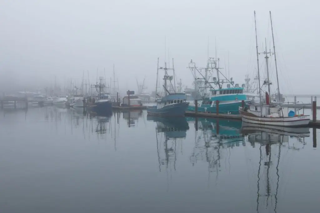 Coastal atmosphere for the Tillamook guide