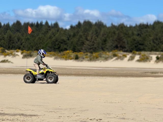 Dunes City, Oregon lake and dune landscape