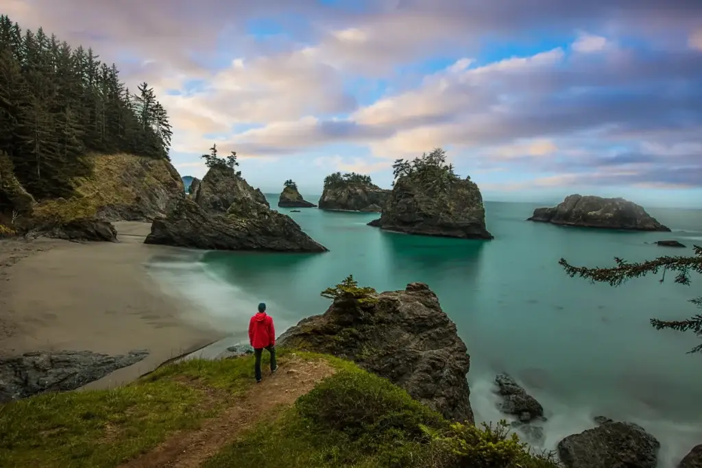 Forest-lined Oregon Coast cove with sea stacks and turquoise water